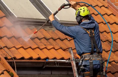 Démoussage et hydrofuge de toiture à Vérines